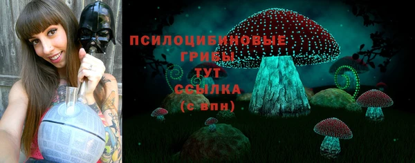 трава Абинск