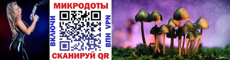 где продают наркотики Хабаровск Галлюциногенные грибы мицелий