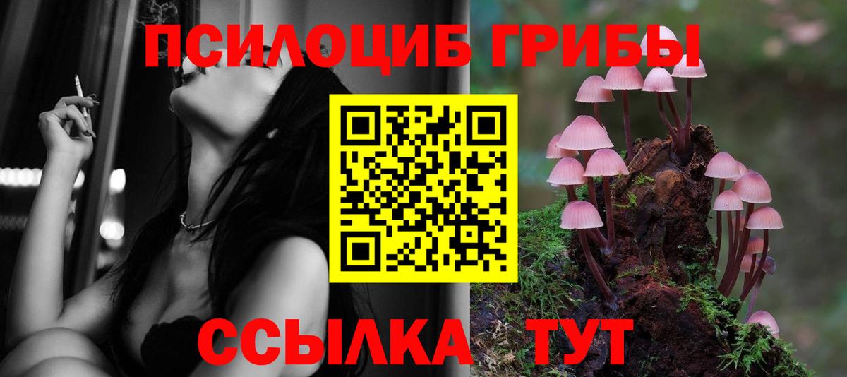 Псилоцибиновые грибы MAGIC MUSHROOMS  Вход с VPN  Хабаровск 